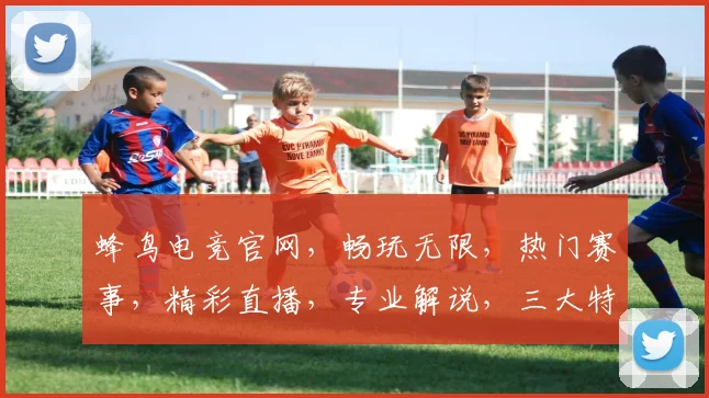蜂鸟电竞官网，畅玩无限，热门赛事，精彩直播，专业解说，三大特色，一网打尽