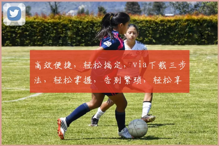 高效便捷，轻松搞定，via下载三步法，轻松掌握，告别繁琐，轻松享受