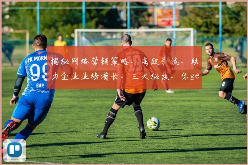 揭秘网络营销策略，高效引流，助力企业业绩增长，三大秘诀，你get了吗